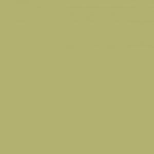 PanelX Olive Green
