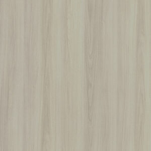 Cream Elm